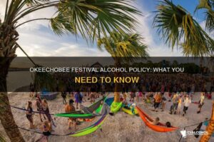 France Music Festival Alcohol Ban Amid Extreme 41°C Heatwave Raises Eyebrows