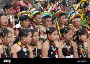 Nagaland Terrace Farming: A Window into Sustainable Practices