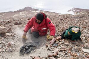 Antarctica Dinosaur Fossil Discovered After 40 Years in Museum Drawer