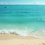 Shark Sightings: Discover America’s Beaches with the Most Attacks