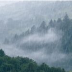 Moderate Rain in Uttarakhand: What You Need to Know About Alerts