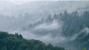 Moderate Rain in Uttarakhand: What You Need to Know About Alerts