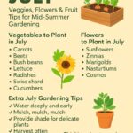 Gardening in July: Discover the Best Plants to Grow This Month