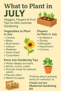 Gardening in July: Discover the Best Plants to Grow This Month