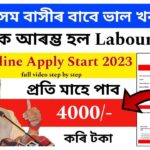 Assam Citizenship Test: Labourer’s Struggle to Prove Indianness